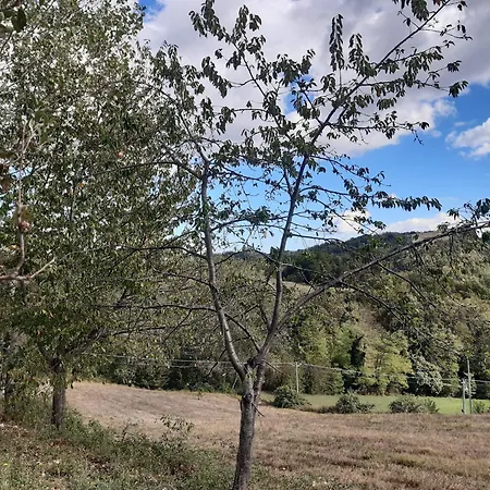 Casa de hóspedes Rocca Montefortino
