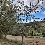 Rocca *
